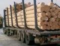 Перевозим лес по Челябинску
